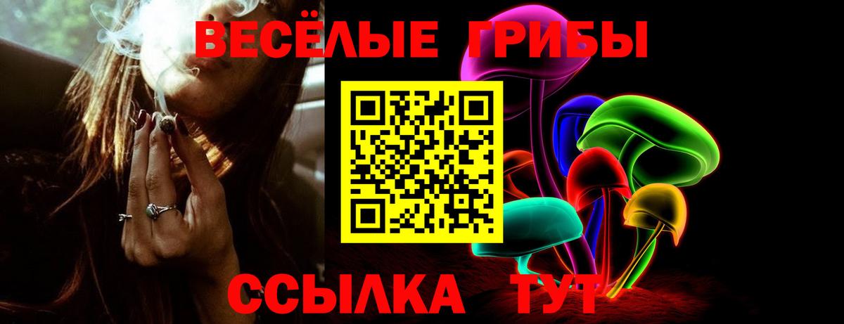 Чапаевск  Псилоцибиновые грибы Cubensis  Псилоцибиновые грибы Psilocybe  Вход с VPN 